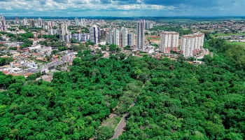 Prefeitura de Maringá prorroga prazo para solicitação do IPTU Verde para 2026