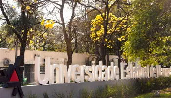 UEM é lider da America do Sul em pesquisas desenvolvidas por mulheres, aponta levantamento holandês 