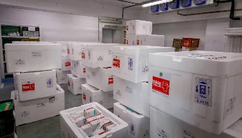 Paraná recebe mais 187 mil vacinas contra covid-19 nesta semana 