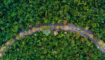‘Semana do Meio Ambiente’ é realizada em Maringá entre 5 e 9 de junho; confira a programação 