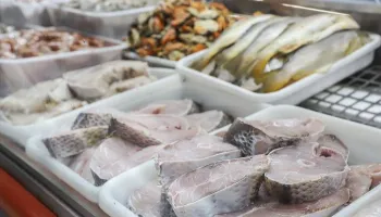 Preço dos pescados registra variação de até 288% em Maringá 