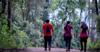 Caminhadas na Natureza: confira a programação de junho no Paraná 