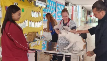 Programa ‘Imuniza Pet’ vacina cães gratuitamente em Maringá 