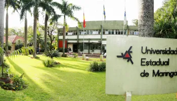Cursos da UEM conquistam classificação cinco estrelas do Guia da Faculdade Estadão 2025; veja lista 
