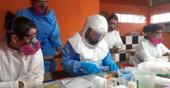 Sesa reforça que mantém vigilância rigorosa contra hantavirose no Paraná 
