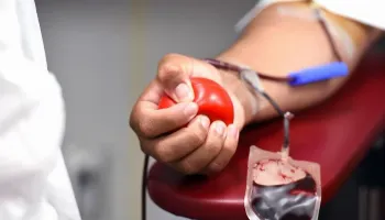 Dúvidas sobre doação de sangue: quem pode doar, qual a frequência e restrições 