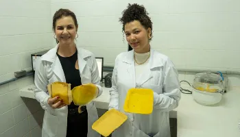 Pesquisadora da UEM transforma macaúba em embalagens biodegradáveis 