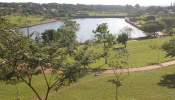 Parque Alfredo Nyeffeler prossegue com ações de revitalização 