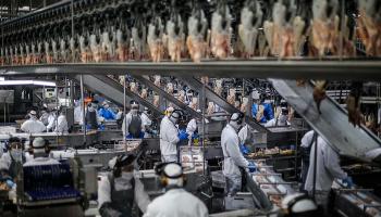 Paraná tem o maior crescimento industrial do País em outubro 