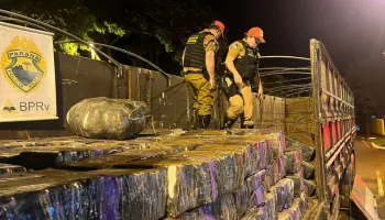 Paraná é o estado que mais apreendeu drogas no Brasil em 2024 
