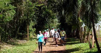 Caminhadas na Natureza promovem 12 circuitos gratuitos em agosto; veja programação 