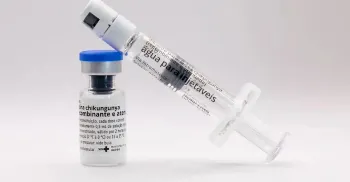 Anvisa autoriza produção de vacina nacional contra chikungunya 