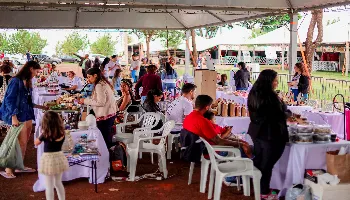 Festa da Canção 2026 começa nesta sexta (10) com atrações inéditas; confira 