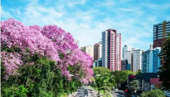 Semana começa com tempo estável e máxima de 34ºC em Maringá Semana começa com tempo estável e máxima de 34ºC em Maringá