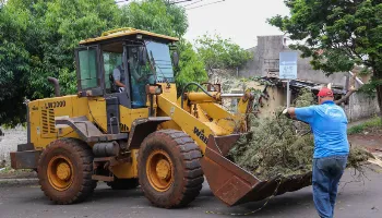 Mais de 800 toneladas de galhos e troncos de árvores foram recolhidos das vias de Maringá 
