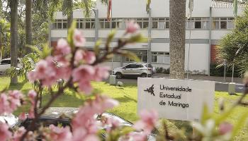 UEM promove 14ª Mostra de Profissões de forma totalmente online 