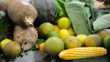 Cerca de 25% dos alimentos de origem vegetal no Brasil têm resíduos de agrotóxicos 