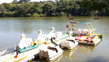 Parque Ingá ganha novas atrações, mas não tem data exata de reabertura 