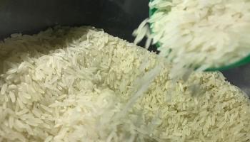 Governo zera imposto de importação do arroz até o final do ano Governo zera imposto de importação do arroz até o final do ano
