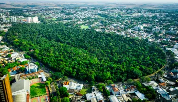 Maringá recebe certificação oficial de Cidade Árvore do Mundo nesta semana no Parque do Ingá Maringá recebe certificação oficial de Cidade Árvore do Mundo nesta semana no Parque do Ingá