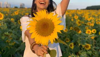 Ele está de volta: Campo de girassóis de Maringá abrirá para visitação a partir deste sábado (26) 
