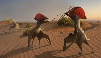 Fóssil de dinossauro voador que viveu há 90 milhões de anos é encontrado no Paraná 