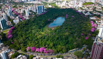 Congressos de arborização urbana acontecem em Maringá em setembro 