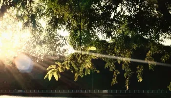 Sol e calor: confira a previsão do tempo para o início desta semana em Maringá Sol e calor: confira a previsão do tempo para o início desta semana em Maringá