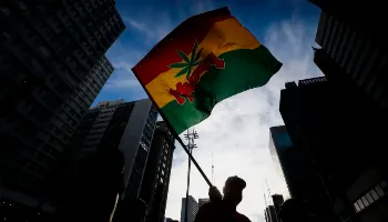Quantidade de maconha vai diferenciar uso pessoal do tráfico; entenda 