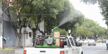 Paraná lidera redução de casos de dengue 