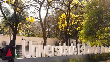 UEM realiza terceira chamada com mais de 800 vagas nos cursos de graduação presencial e EaD 