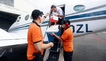 Sesa reforça a importância da doação de órgãos no Setembro Verde 