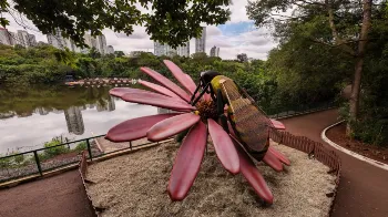 Nova exposição do Parque do Ingá tem insetos gigantes, trilhas noturnas e atrações interativas 