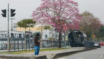 Confira quais cidades do Paraná registraram temperaturas negativas nesta sexta (30) 