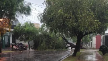 Tempestade causa estragos e deixa cerca de 3 mil imóveis sem energia em Maringá 
