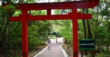 Jardim Japonês do Parque do Ingá tem data para reabertura 