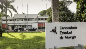 UEM é destaque em ranking de publicações científicas 