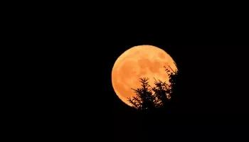Madrugada desta quarta-feira (11) terá Lua de Morango; entenda o fenômeno 