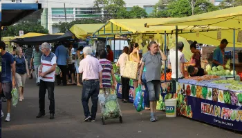 Nova feira livre de Maringá ficará em frente ao Hospital Municipal 