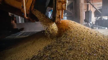 Brasil deve voltar a ser 8ª maior economia do mundo em 2027 