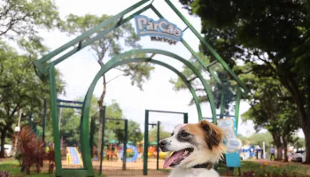 Inauguração do novo ParCão de Maringá terá edições do Maringá Recicla e Moeda Verde 