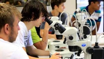 Cursos das Universidades Estaduais do Paraná se destacam em avaliação do MEC Cursos das Universidades Estaduais do Paraná se destacam em avaliação do MEC