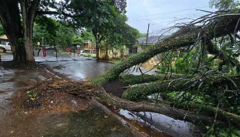 Portão da UEM fica temporariamente fechado Portão da UEM fica temporariamente fechado