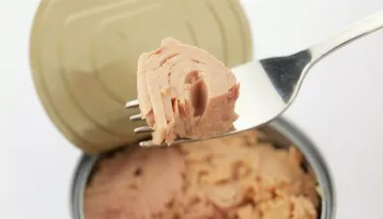 Após relatos de intoxicação alimentar, Anvisa suspende comercialização de marca de atum; saiba qual 