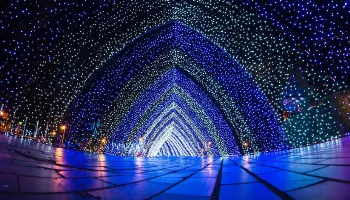 Novo Túnel de Luz começa a ser montado na Praça Renato Celidônio Novo Túnel de Luz começa a ser montado na Praça Renato Celidônio
