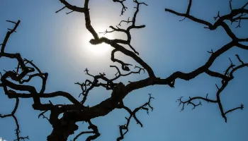 Brasil atinge recorde de temperatura média pelo quarto mês seguido 