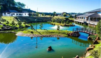 Em comemoração aos 113 anos de imigração japonesa, Maringa.Com presta homenagem ao Parque do Japão 