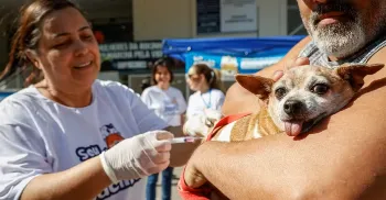 Programa Vet-Móvel vai realizar atendimentos veterinários gratuitos em municípios do Paraná 