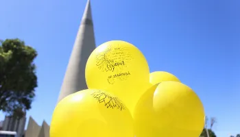 Setembro Amarelo terá palestras sobre saúde mental em Maringá; confira a programação completa 