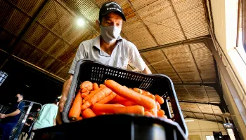 Oficina gratuita de manipulação de alimentos está com inscrições abertas em Maringá 